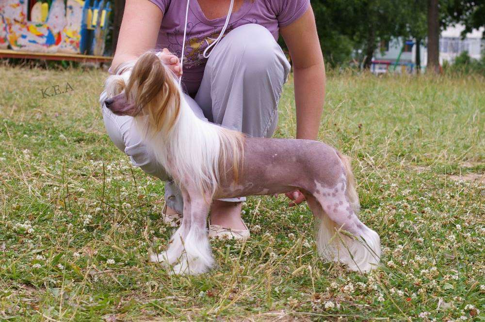 Rolana Family Tequila Sunrise