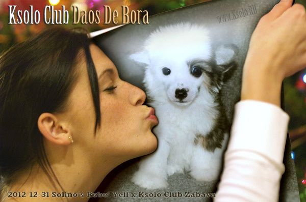 Ksolo Club Daos De Bora