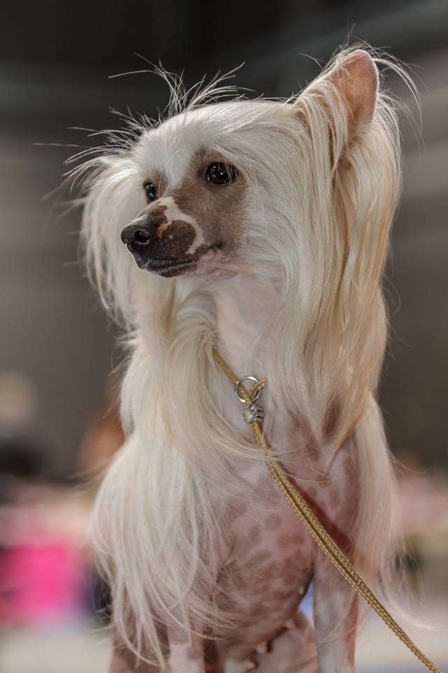 Alaska Beauty Pretty Sweet