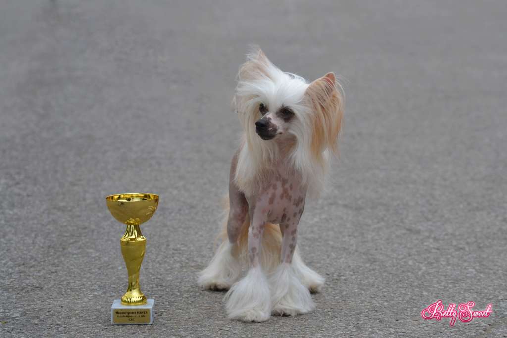 Á La Chivee Pretty Sweet