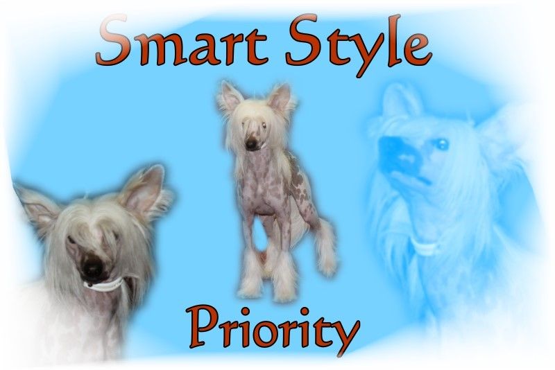 Smart Style Priority