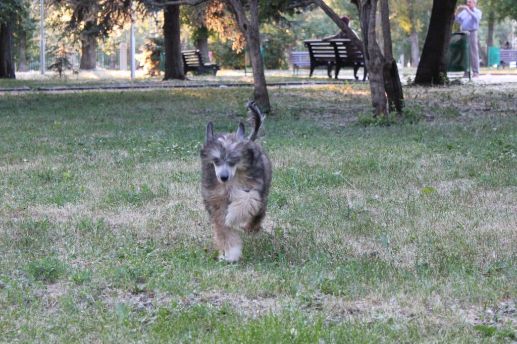 Gallurius Island of Happiness