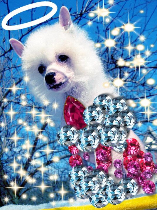 Angel O' Check Grafinia.