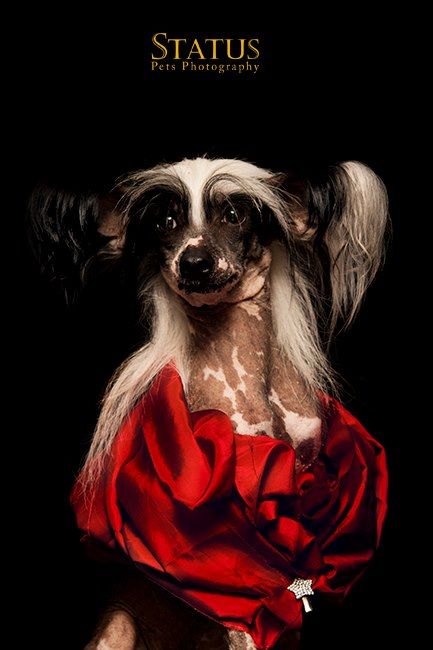 Brigitte Das Sete Quintas