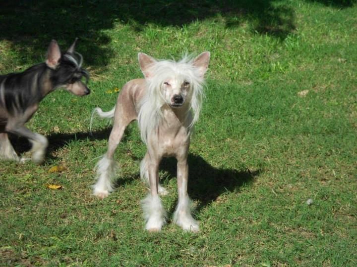 Lyon-O Praia do Sossego