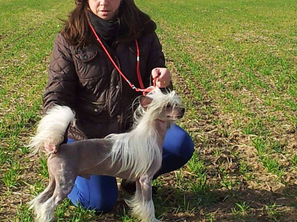 CH Eusebio de Los Jumichatos