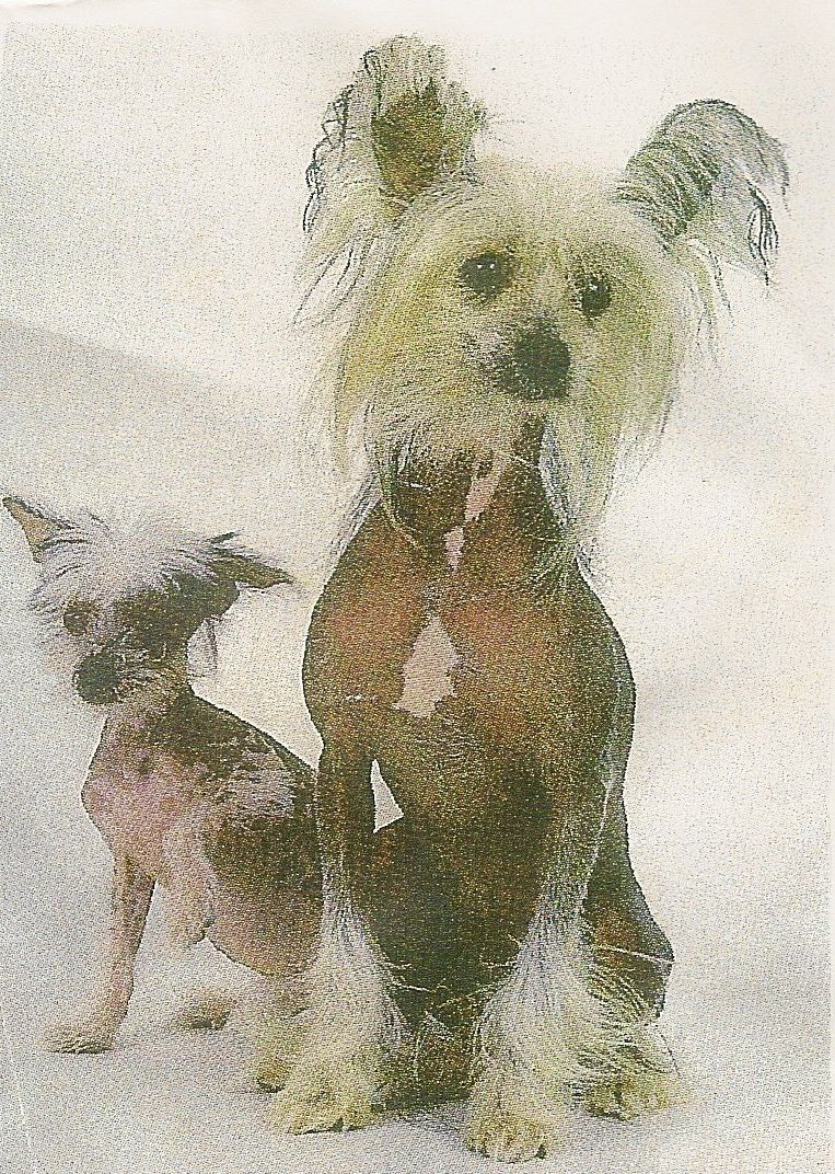 Olivia Pretty in Pink