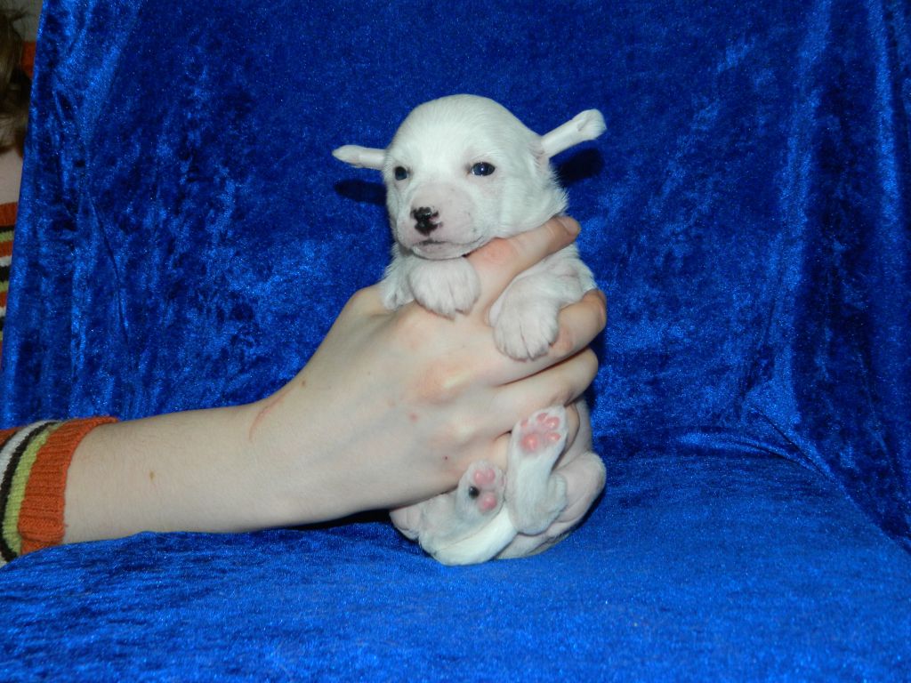 Patrissiya kiss in heart