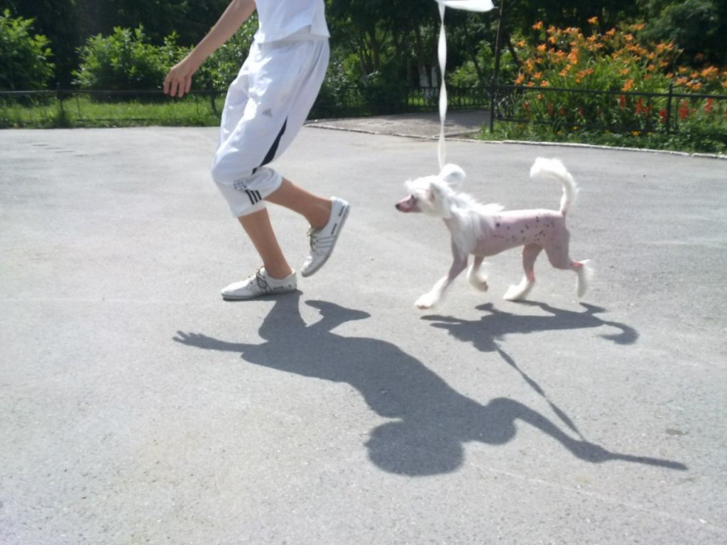 Pelageya  song  beauty