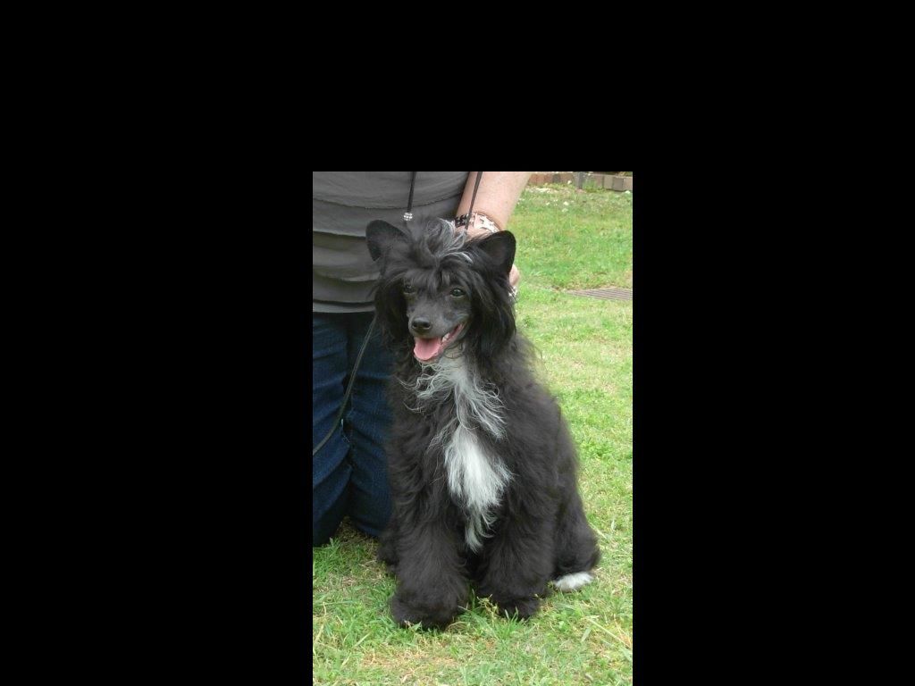 Cinondra's Dark Side Of The Moon