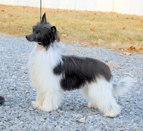 M.t.o. Love Takes Wing