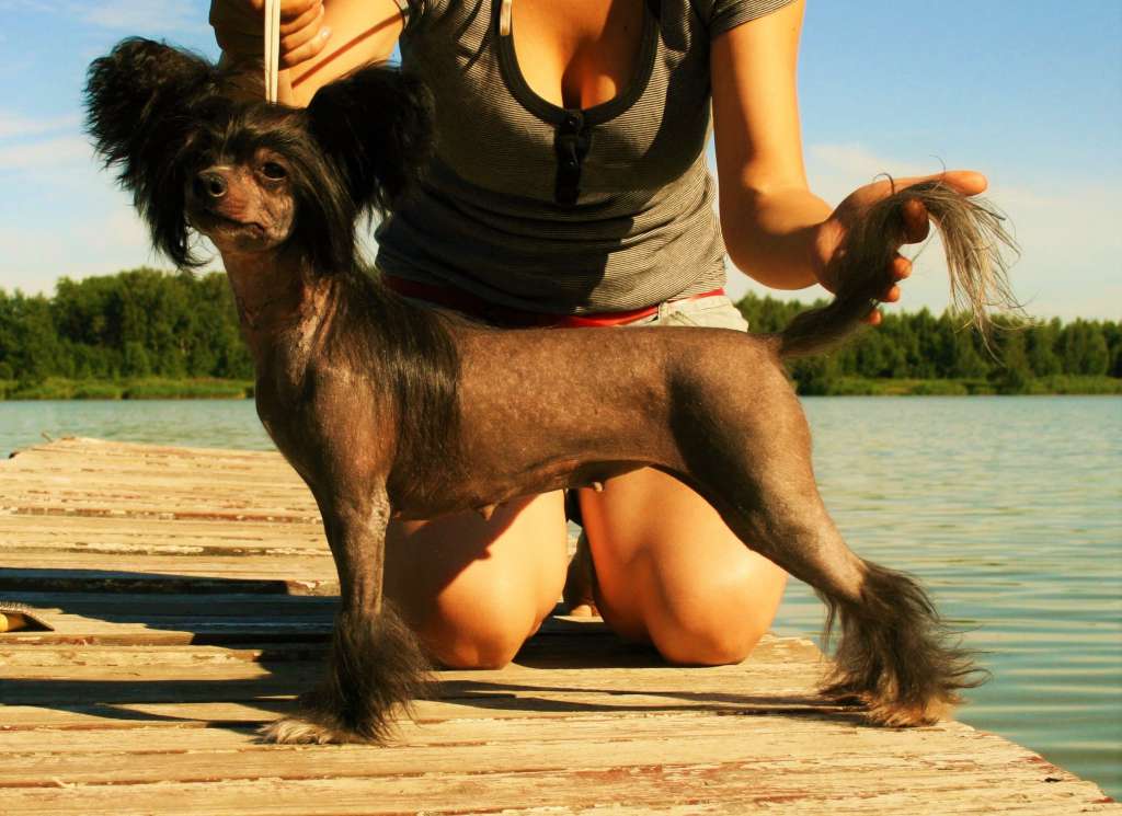 Bella Konstanta Pepper