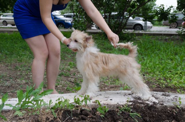 Avangardnaya Avantyuristka