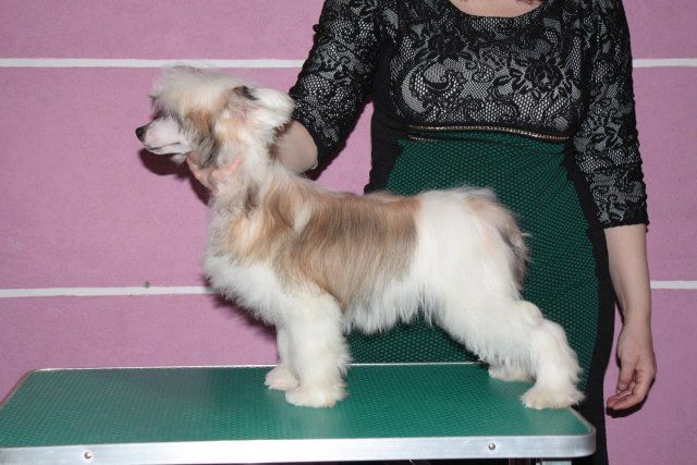 Aplodismenti Kajdyi Den'