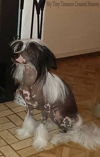 My Tiny Treasure Created Heaven