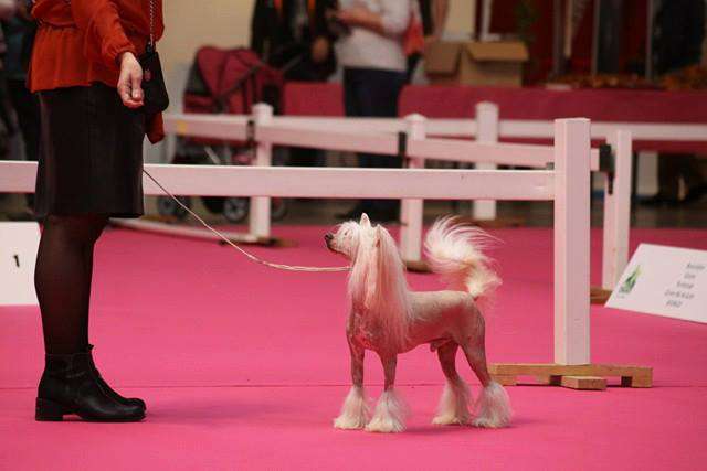 MULTI CH Honly You Du Coeur Des Tenebres