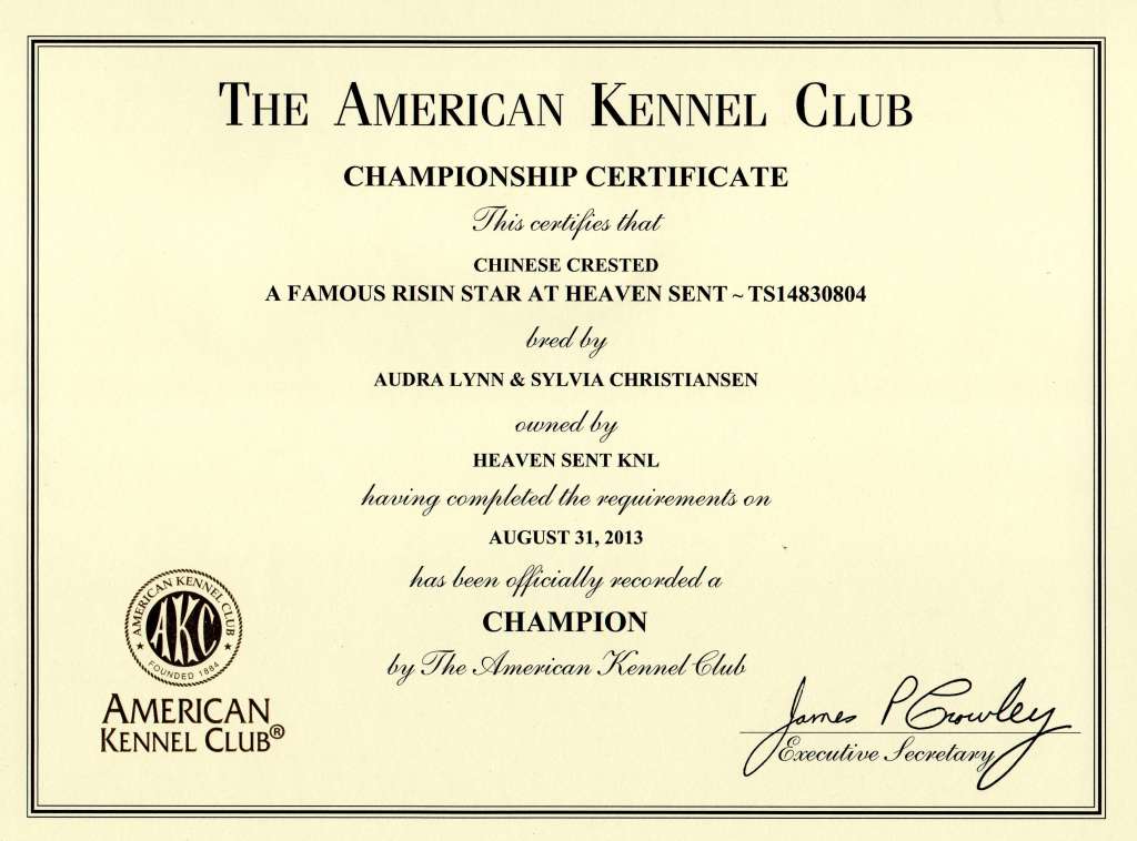 A Famous Risin Star At Heaven Sent