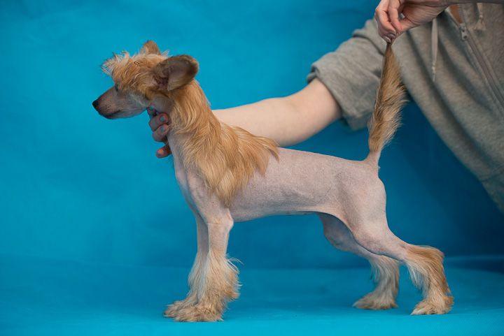 Rouber Balt Vizantija