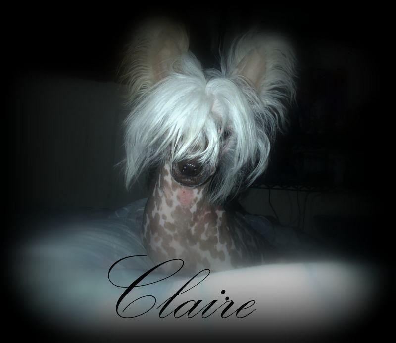 Evg's You Spotted Me Naked