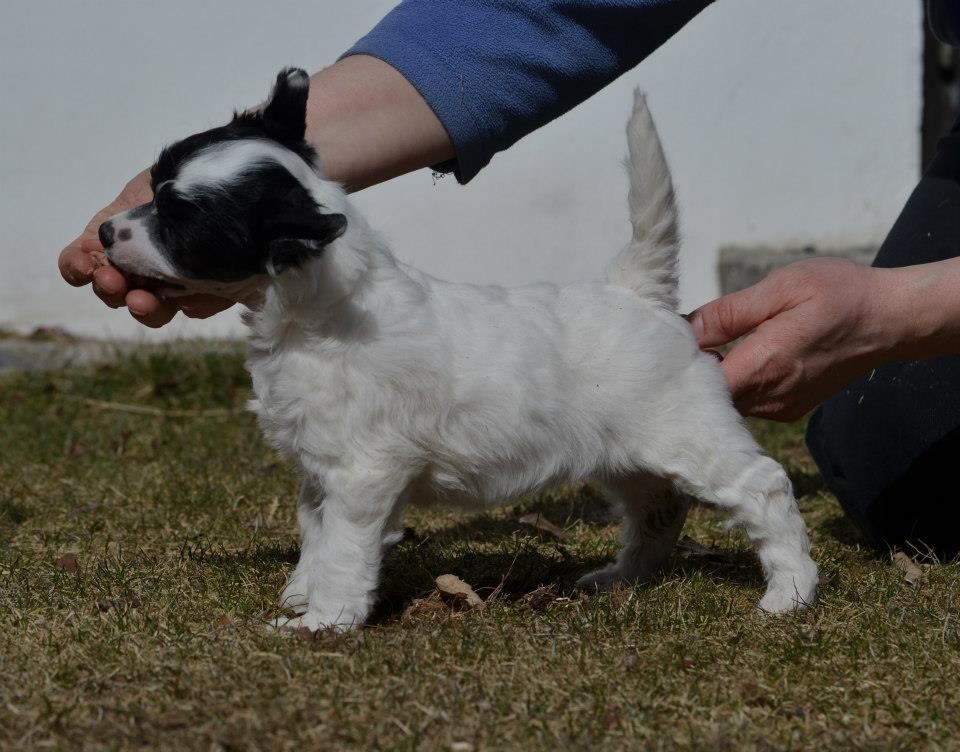 Proud Pony Be My Guest