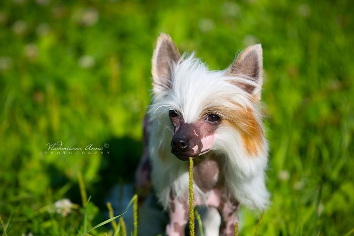 Envy White Made With Love