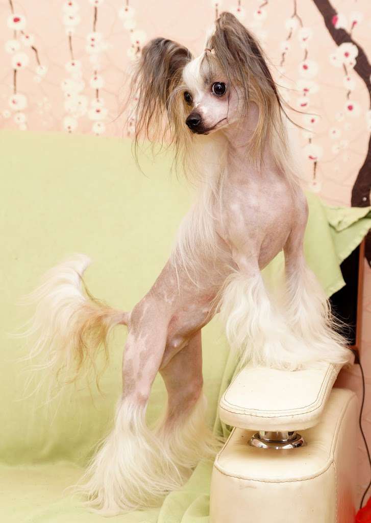 Envy White Many Kisses