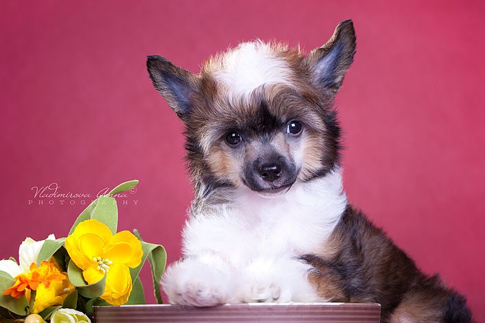 Envy White Oceanic Glow