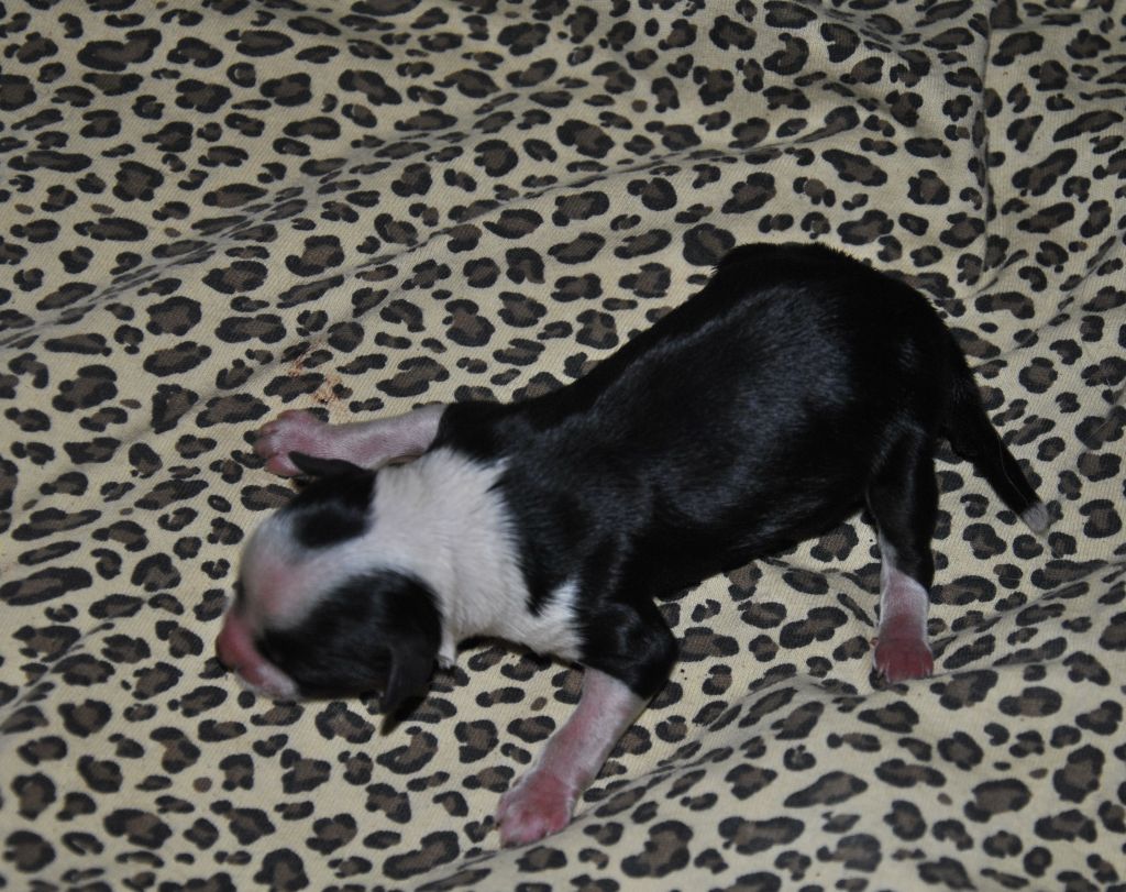 WrÓ?ka Grzywkomania