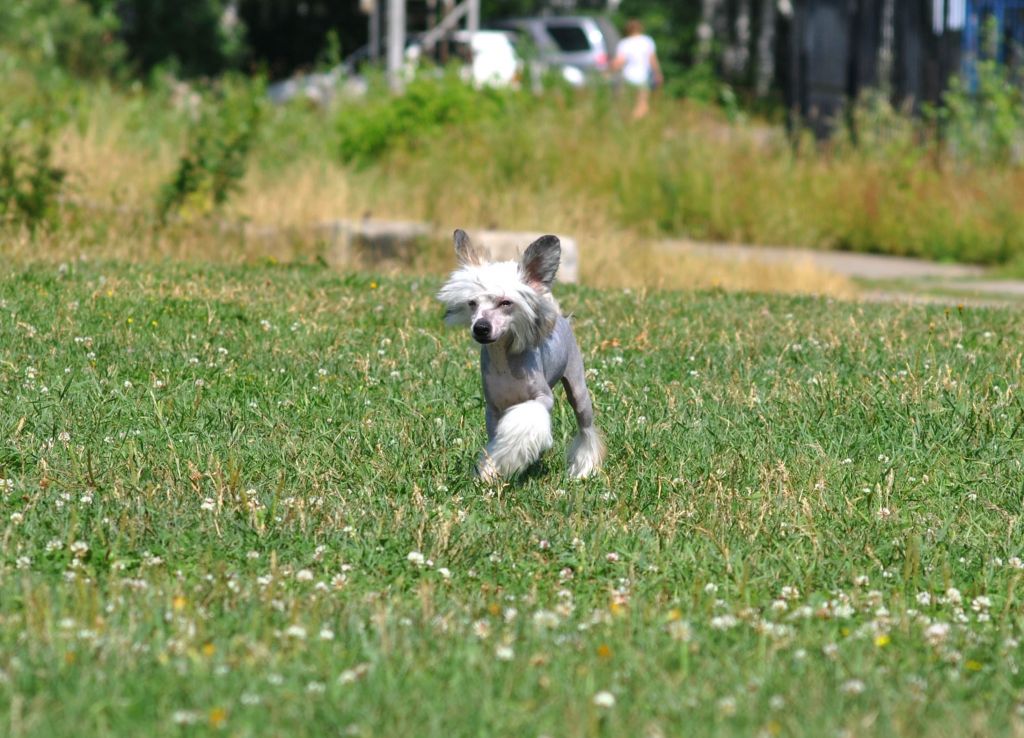 Grand Sunlife Sono Pazzo