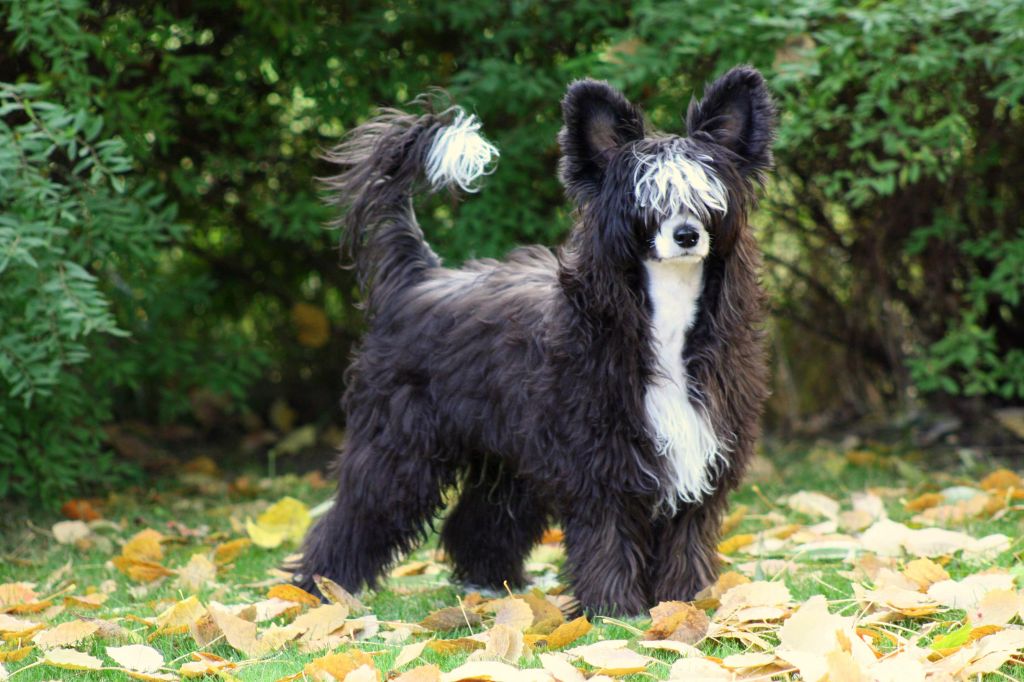 Passer-By Little Bit of Danger