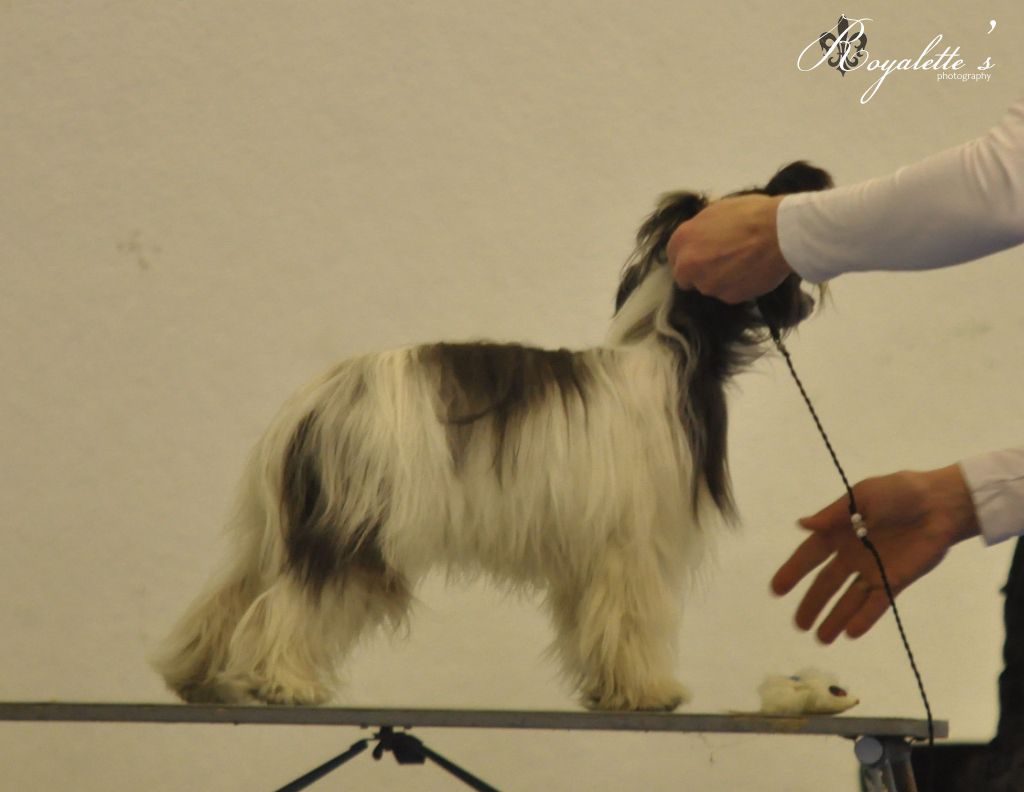 Passer-By Little Bit of Humour