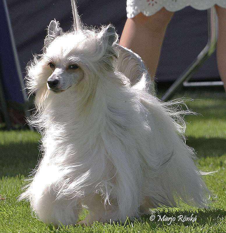 Spartace's Danger She's A Stranger