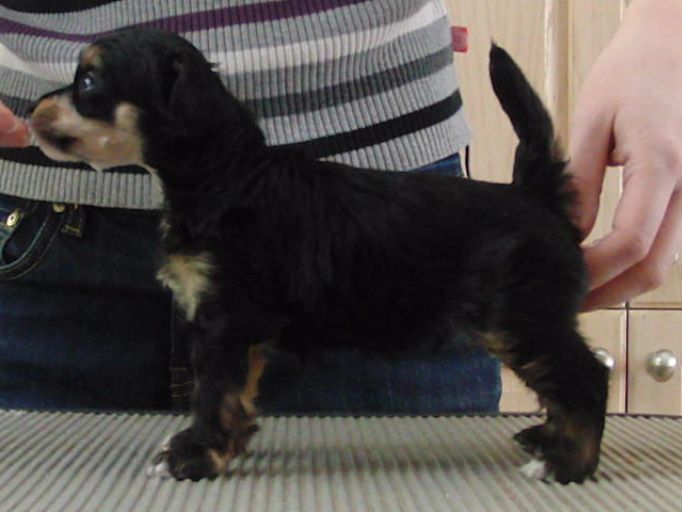 Curlious One For The Road