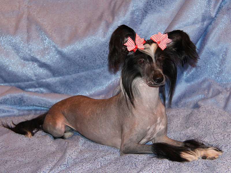 Yualanta Sky Miracle