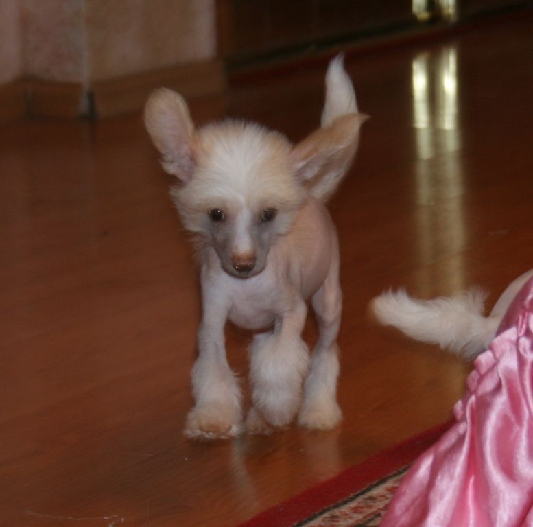 Sky Miracle Zar Gift Of Gods