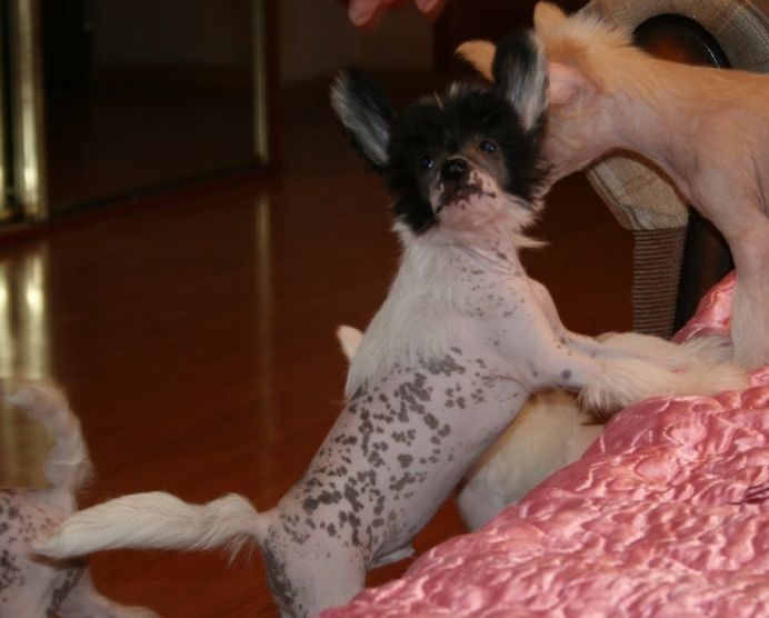 Sky Miracle Zoriy Ray Of Light