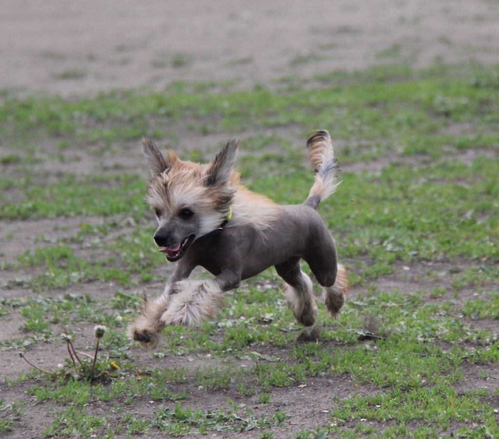Antonio Banderas Al'deramin