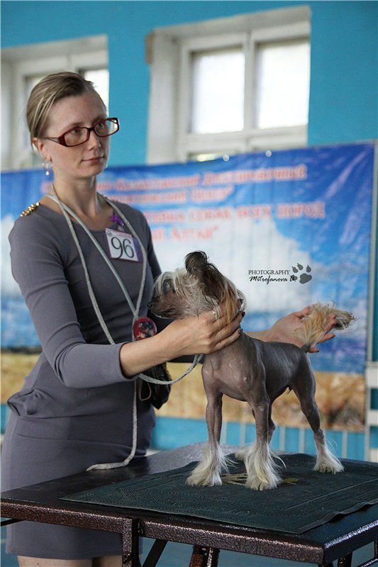 Aelita Sel' Mondore Ameli