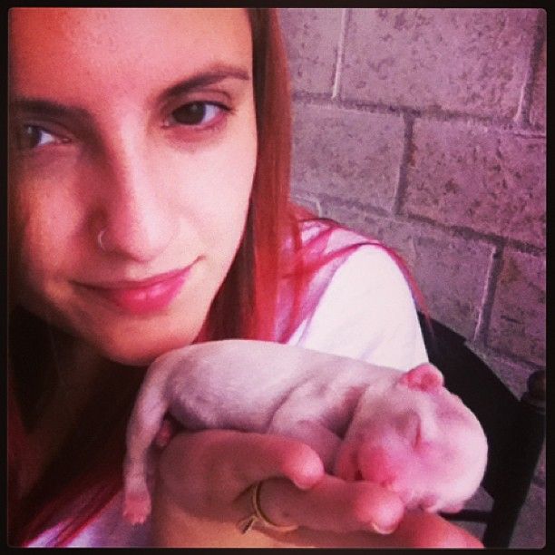 Moonbow's Britney Spears