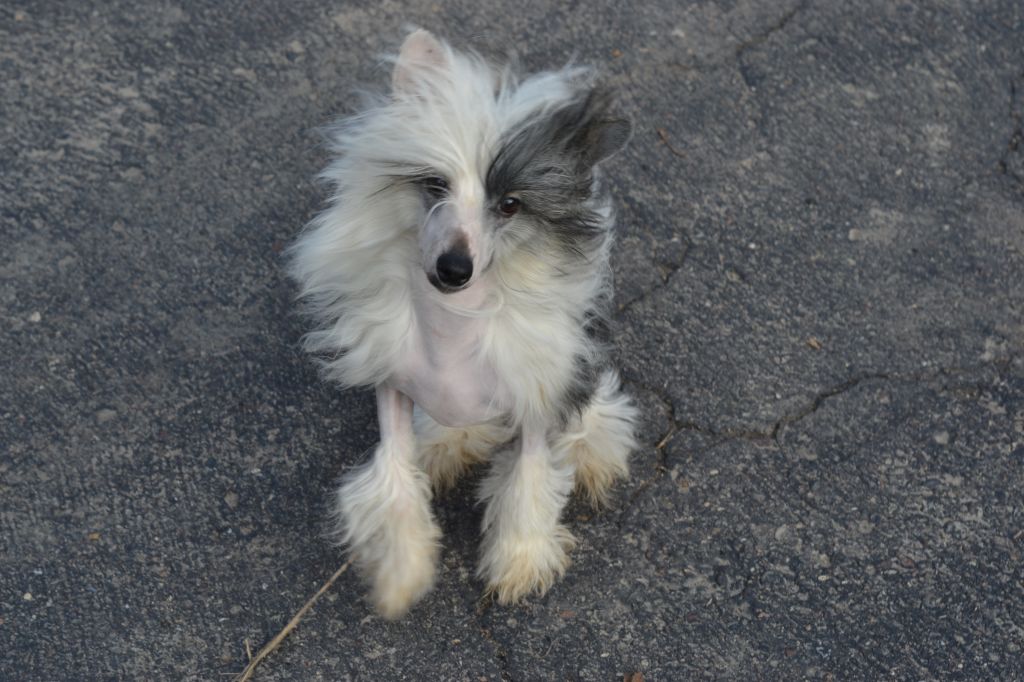 Famous Caught Red Handed