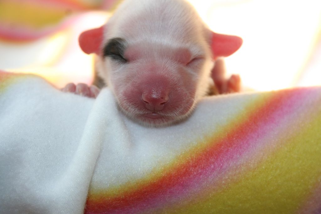 Dresscode-Zero Mantra for Mankind