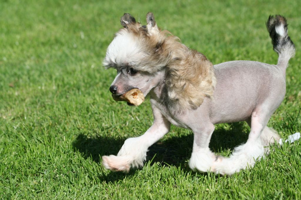 Dresscode-Zero Mysterious Me