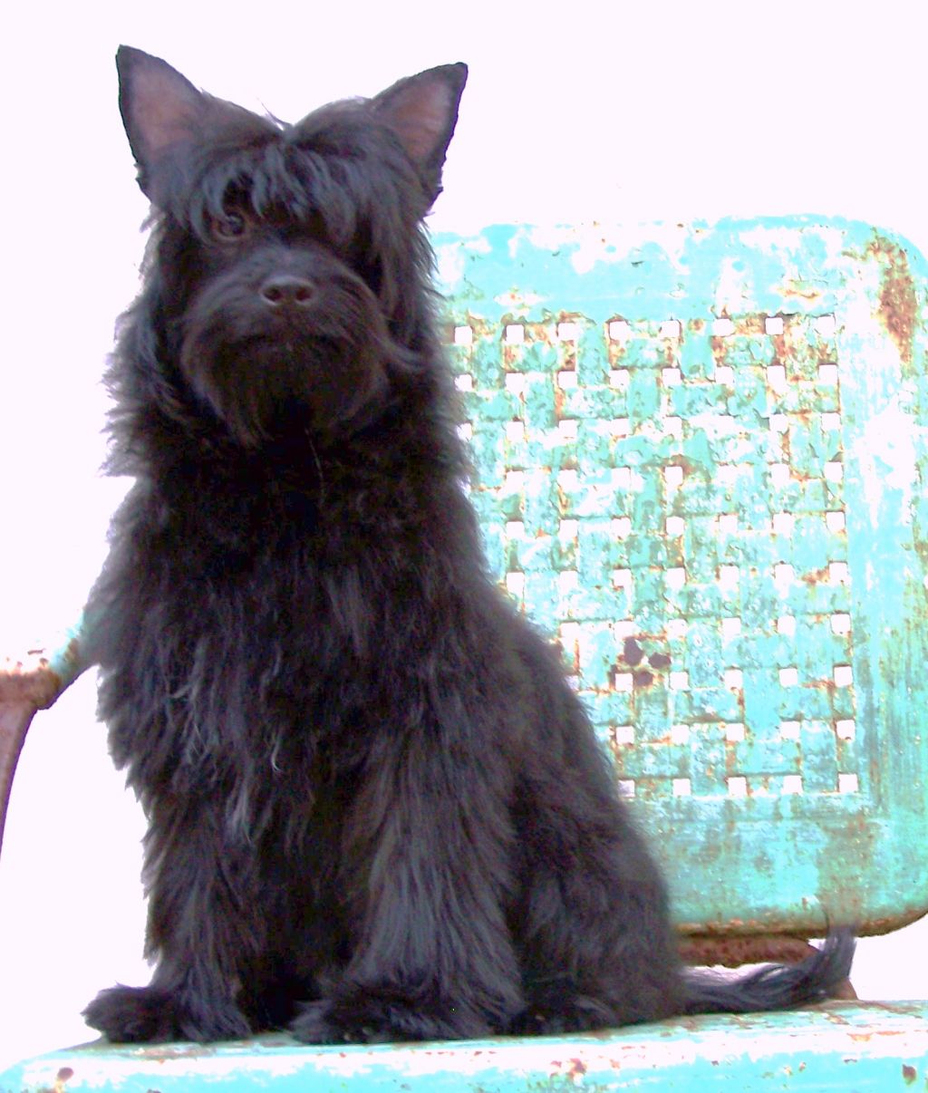 A'eden As You Like It