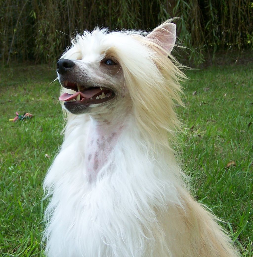 A'Eden Been There Done That