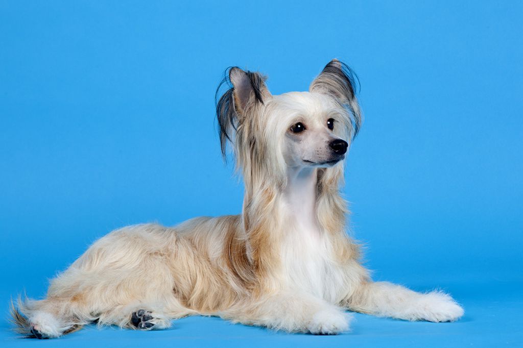 Touch Beauty Intrigue of Spring