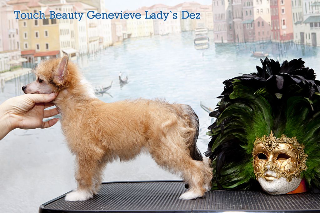 Touch Beauty Genevieve Lady's Dez