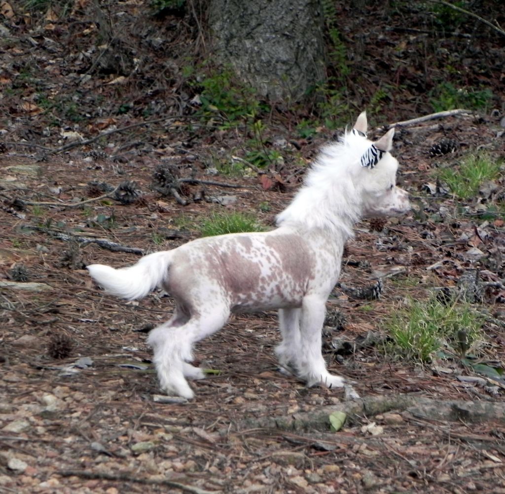 Coutures You Spotted Me Hot and Sexy