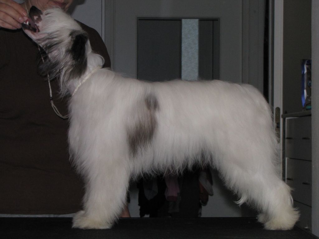 Bemu's Be My Valentine