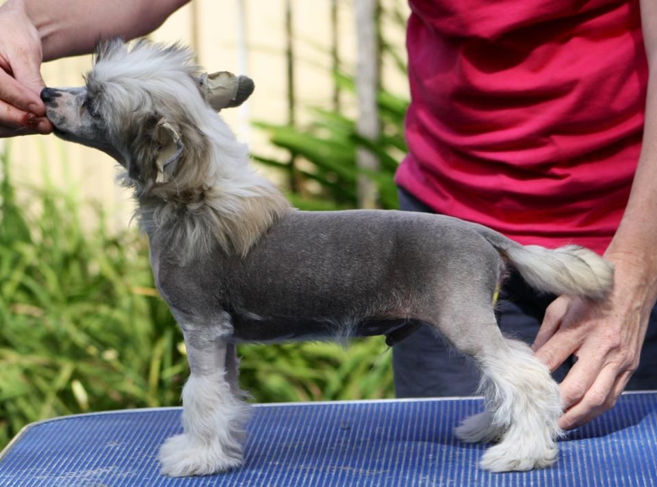 Liliah Atticus Finch