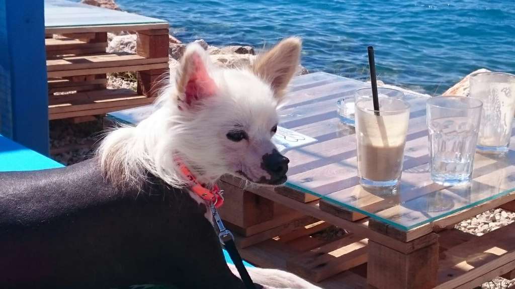 Maàlablya Heaven Boy Eli